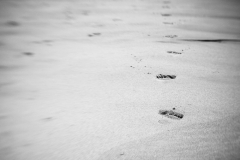 Spuren im Sand
