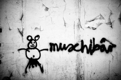 Muschibär