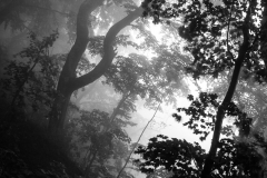 Nationalpark Jasmund